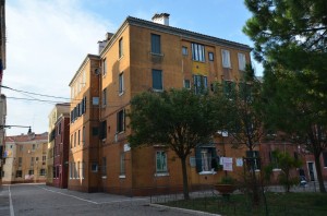 DSC 4919
