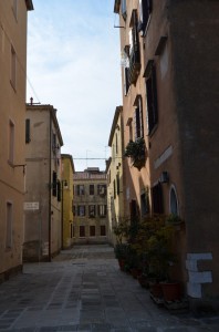 DSC 4950