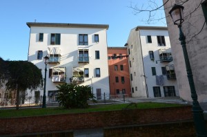 DSC 5581