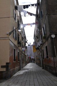 DSC 0254