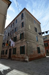 DSC 5131