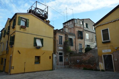 DSC 8898