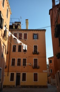 DSC 5505
