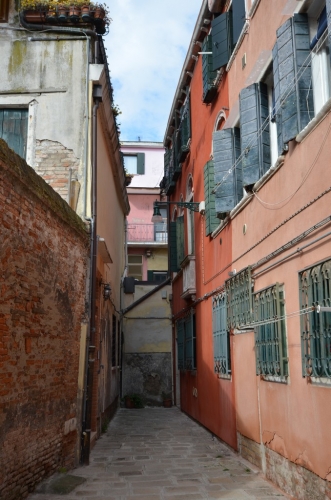 DSC 8961