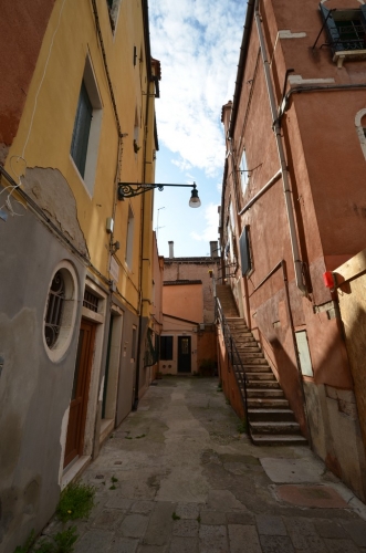 DSC 8977