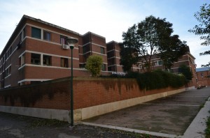 DSC 5166