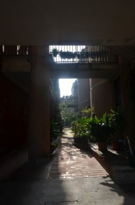 DSC 5361