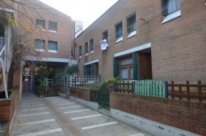DSC 5366