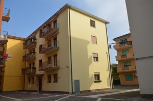 DSC 5402