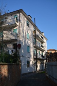 DSC 5461