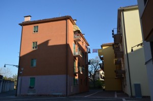 DSC 5462