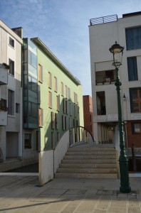 DSC 5219