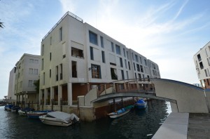 DSC 5225