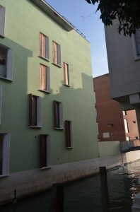 DSC 5338