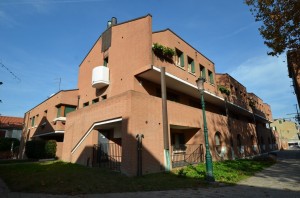DSC 5207