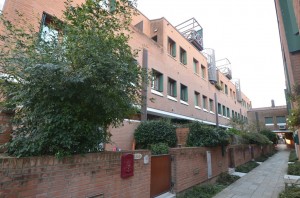 DSC 5430