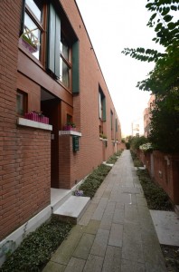 DSC 5433