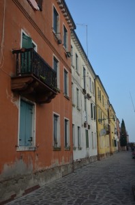 DSC 5331