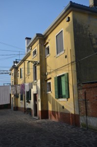DSC 5332