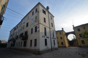 DSC 5335