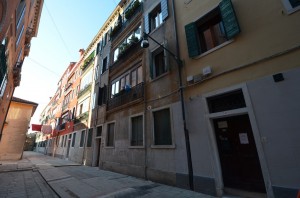 DSC 5449