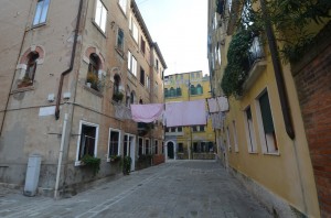 DSC 5354
