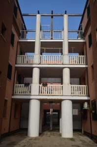 DSC 5392