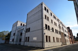 DSC 5468