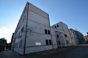 DSC 5469