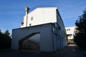 DSC 6265