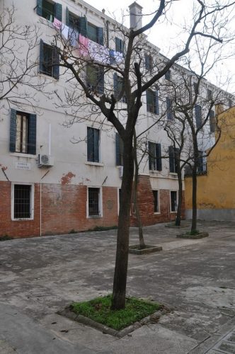 DSC 0868