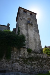 DSC 3119