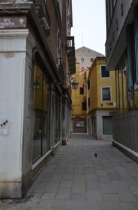 DSC 1213