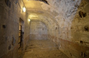 DSC 6501