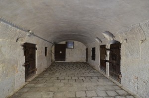DSC 6534