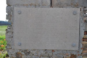 DSC 0307