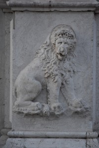 DSC 0864