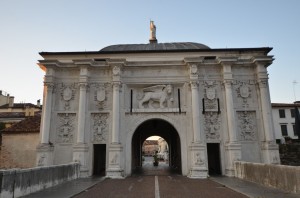 DSC 5145