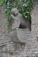DSC 0596