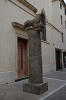 DSC 7367