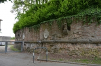 DSC 7374