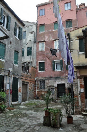 DSC 0455