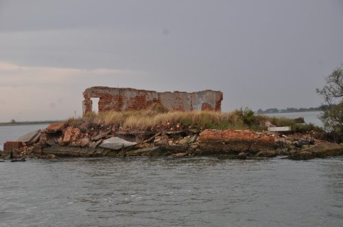 DSC 0061