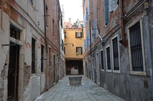 DSC 7260