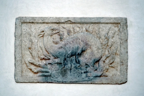 DSC 0251m2