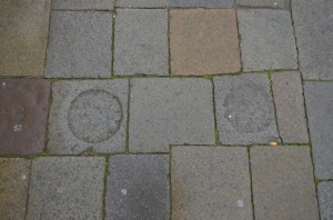 DSC 1361