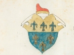 Ziani