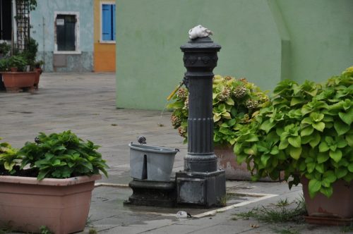 DSC 0126