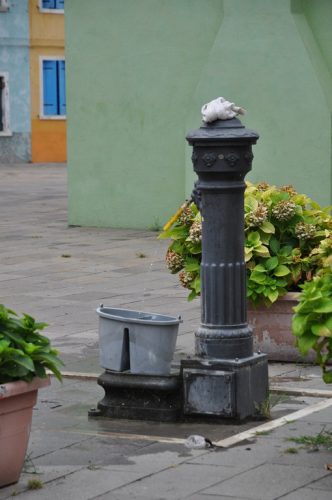 DSC 0127