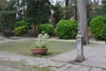 DSC 0528